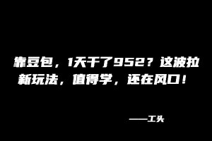 【中级篇第91课】：靠豆包，1天干了952？这波拉新玩法，值得学，还在风口！ 