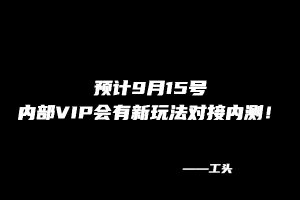 【113】工头：预计9月15号，内部VIP会有新玩法对接内测！ 